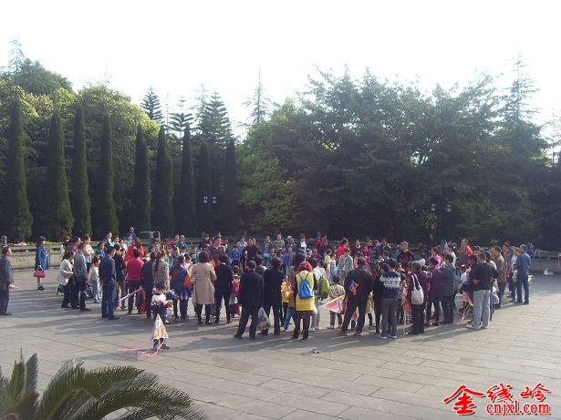 SDC16771.JPG