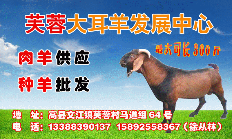 daeryang.gif