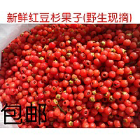 u=2245471231,2908565087&amp;fm=11&amp;gp=0.jpg