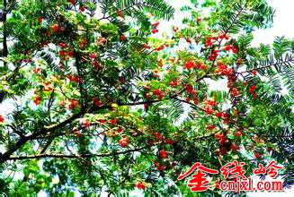 u=3131592809,3358543820&amp;fm=21&amp;gp=0.jpg