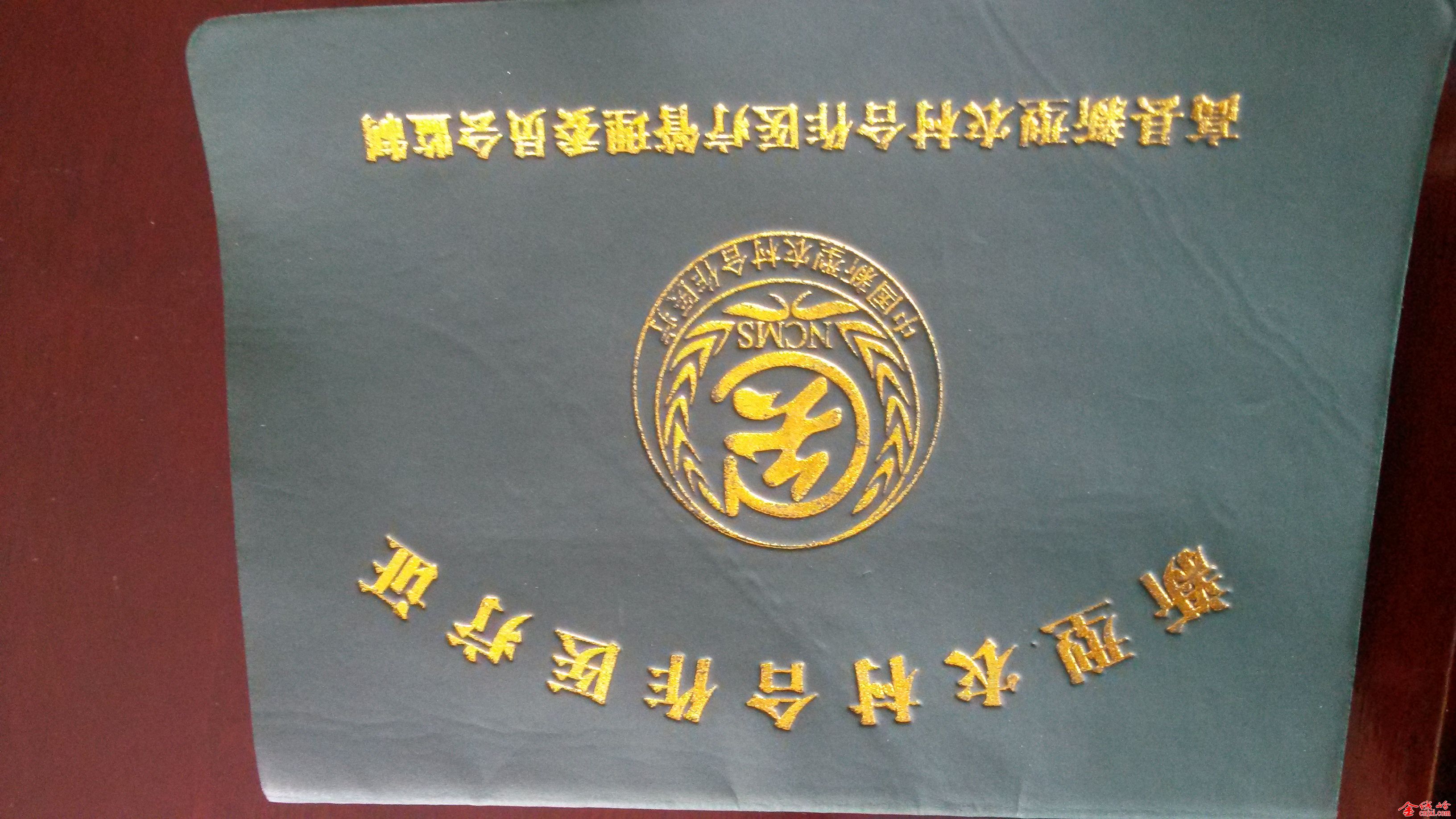 20150417_104146.jpg