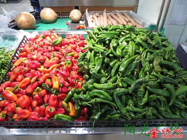 IMG_0032_org.jpg