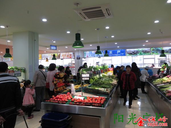 IMG_0033_org.jpg