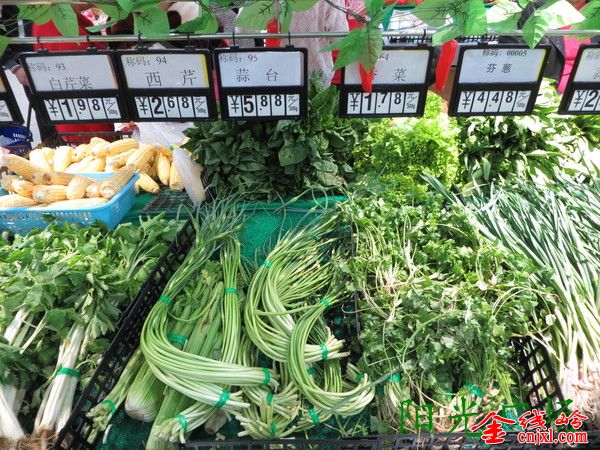 IMG_0035_org.jpg