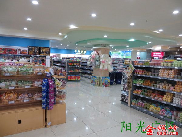 IMG_0081_org.jpg
