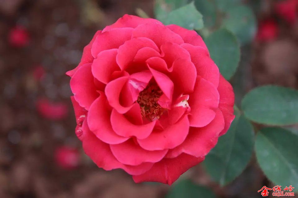 psb (17).jpg