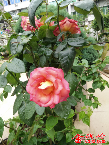 IMG20150515144047.jpg
