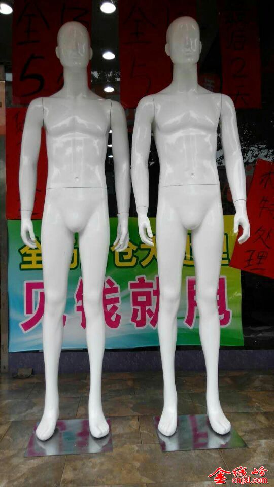 ģ