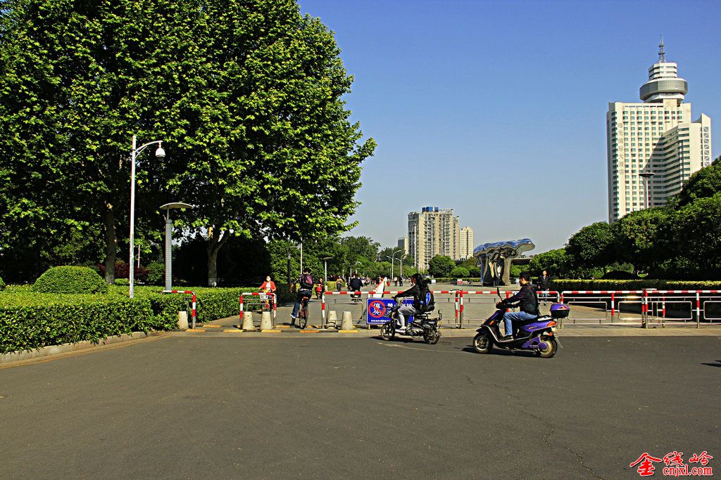 _MG_1482.jpg