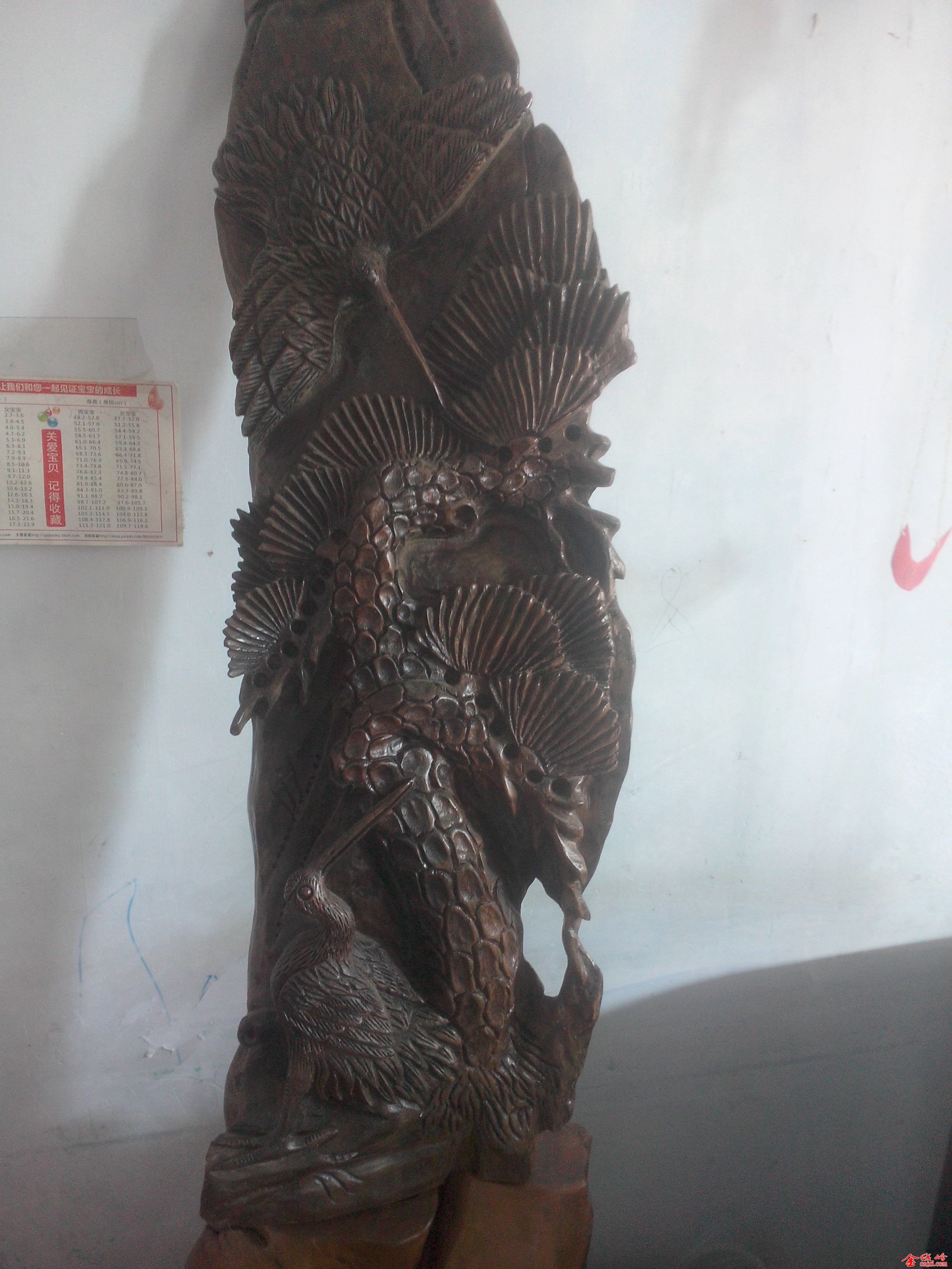 IMG20150907026.jpg