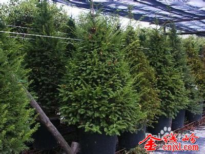 79db3104ff1c029131f73a593eccb16a.jpg