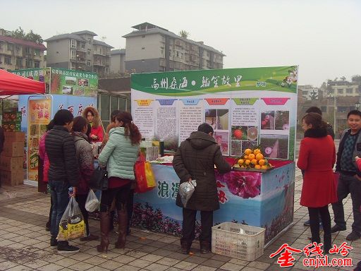 SDC10192.JPG