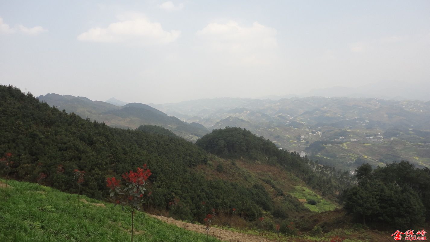 DSC00002(2015-3-8 22.40.10).JPG