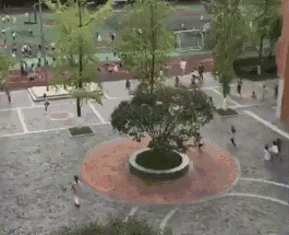 0 (2).gif