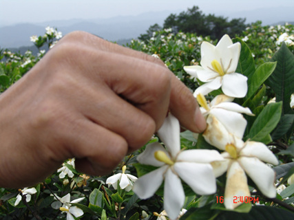 ߽߽֮  ߽֮