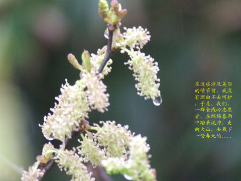 [ԭ]311°ϣ(ͼƬ)