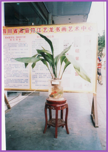 Ĵʡط黭