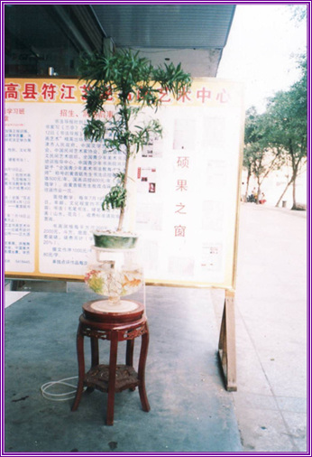 Ĵʡط黭