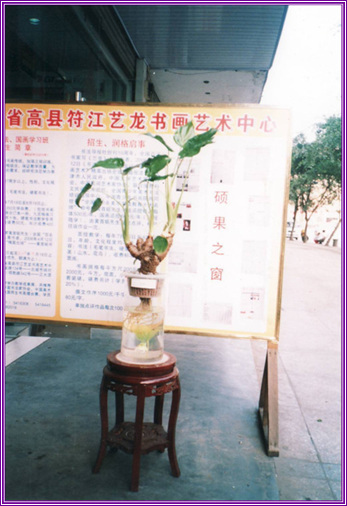 Ĵʡط黭