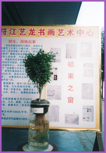 KkW1aifr.jpg
