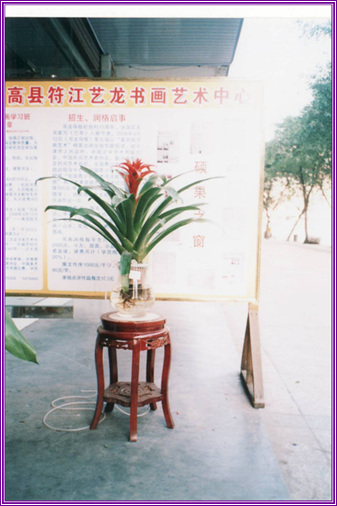 YF5VEXA0.jpg