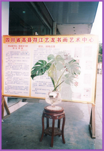 SY7toNoZ.jpg
