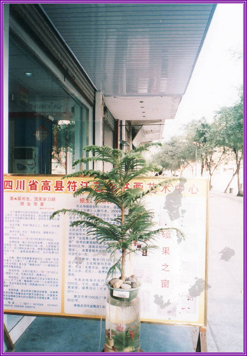 Ĵʡط黭