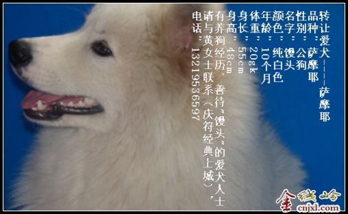 תðȮ----ĦҮ